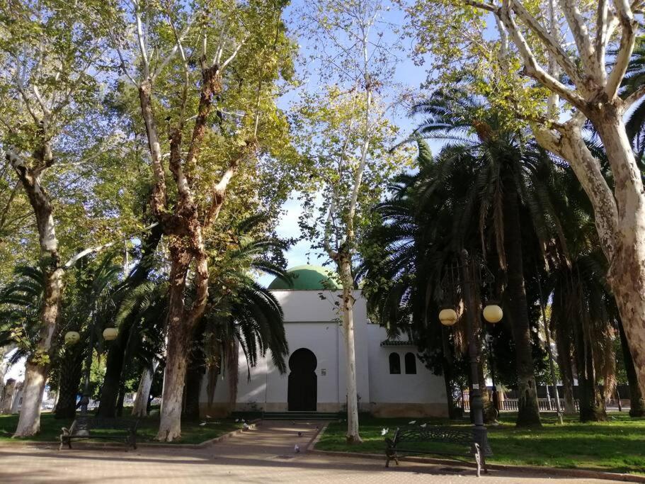 Trotamundos, Apartamento Nuevo En El Centro Kordoba Bagian luar foto
