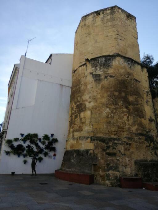 Trotamundos, Apartamento Nuevo En El Centro Kordoba Bagian luar foto